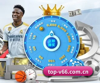 V66体育 APP