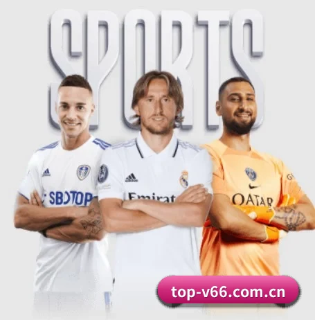 V66体育 APP